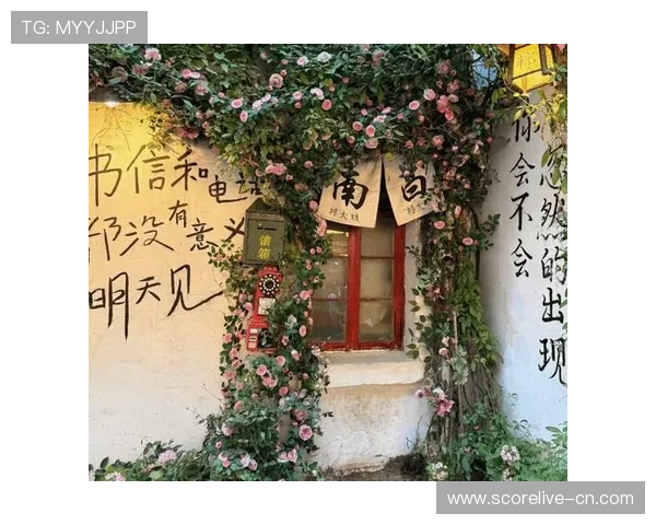 篮球赛事彩票高频玩法防骗避坑指南